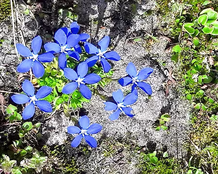 20180811-14h56m15s-20180817_135451-V3