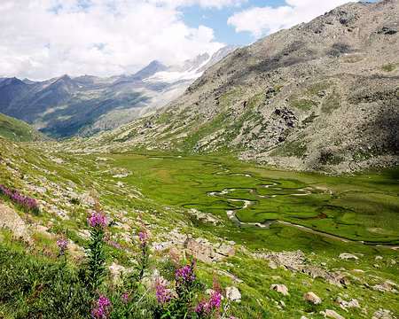 20180812-15h26m49s-P1100999-V3