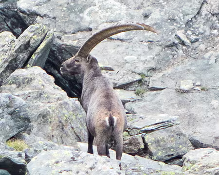 20180812-16h27m10s-DSC08505-V3 Je ne suis pas là !