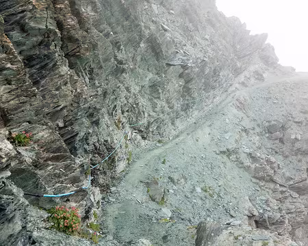 20180813-13h30m12s-DSC08529-V3