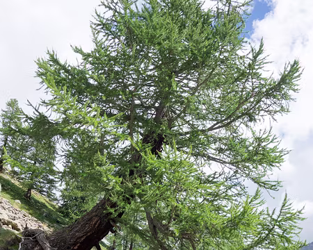 20180814-11h26m25s-DSC08579-V3 .