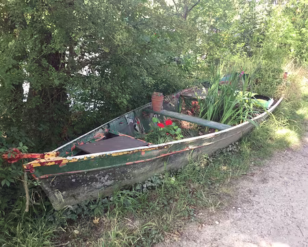 IMG_0947 quand la barque prend racine…