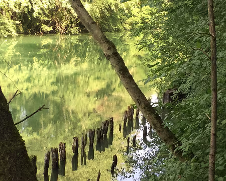 IMG_0964 une vision impressionniste du canal…