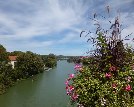 P1080336 La Marne à Joinville-le-Pont