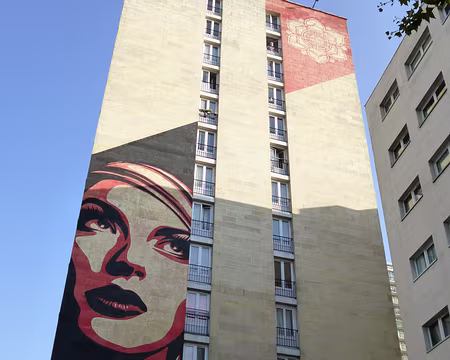P1080427 Rue Jeanne d'Arc, oeuvre de Shepard Fairey, Rise above rebel