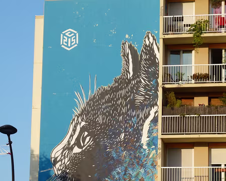 P1080442 Bd Vincent Auriol, oeuvre de C215, le chat