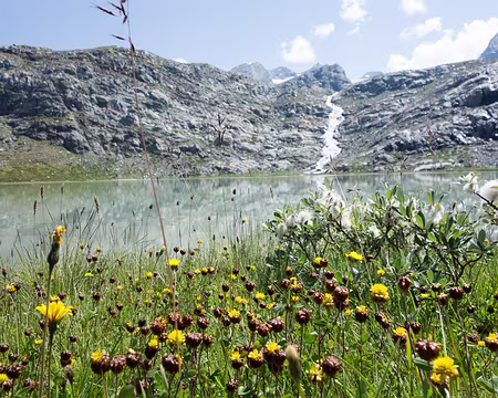 20180819-13h06m32s-DSC08610-V3