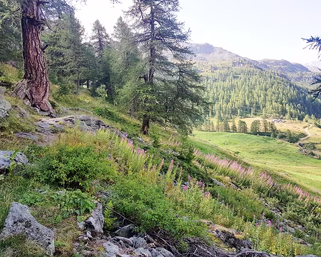 20180821-10h43m31s-20180821_104332-V3