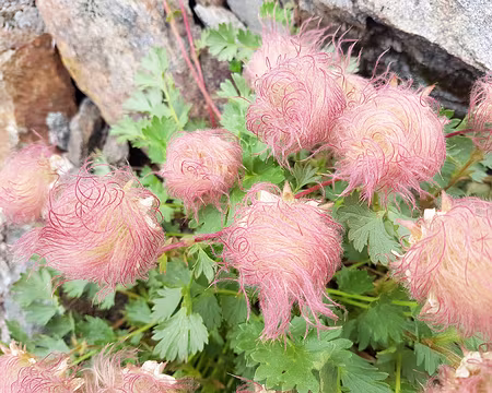 20180821-13h32m23s-20180821_133224-V3