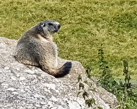 20180822-13h53m46s-20180822_135346-V3