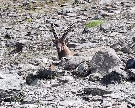 20180823-14h49m10s-20180823_144910-V3 Coucou