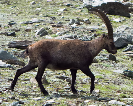 20180823-14h52m12s-DSC08749-V3