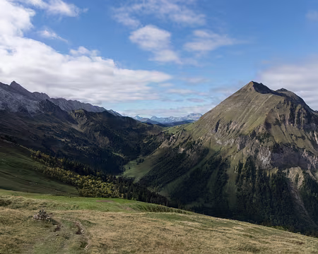 058_4V1A0322 Le temps s’améliore très vite