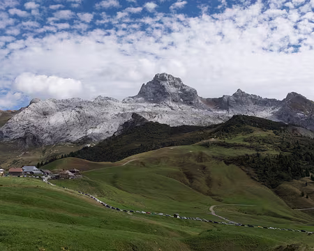 065_4V1A0358 Finalement les automobilistes sont des piétons qui s’ignorent