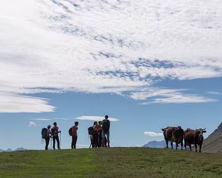 066_4V1A0364 Rencontre au sommet