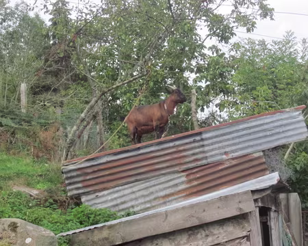 IMG_4864 Une vigie tournée vers la mer