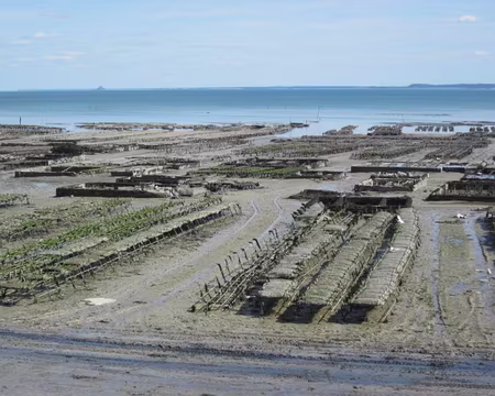 IMG_4898 Les parcs à Huitres à Cancale