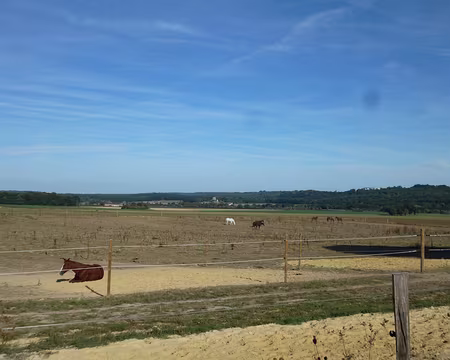 P1080568 Longvilliers