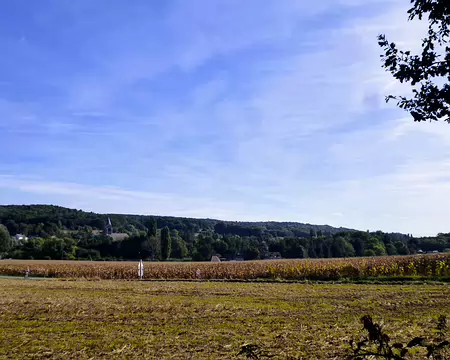P1080569 Saint-Cyr-sous-Dourdan