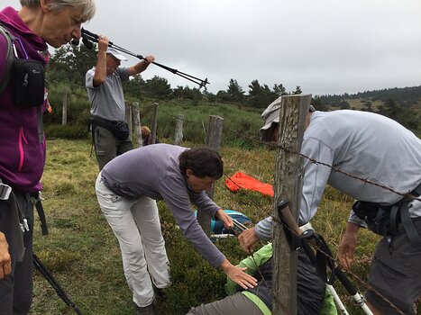 Sylvie LH Sylvie LH, détail sortie