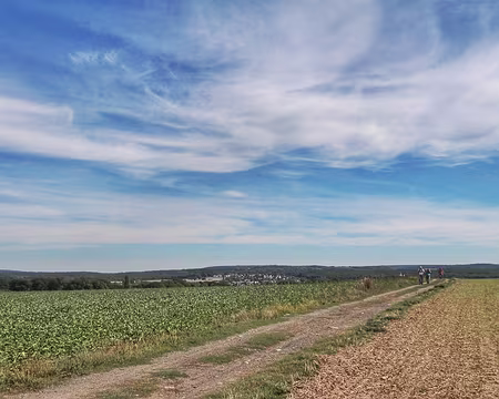 14 Sur le plateau du Vexin