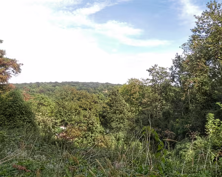 16 Vallée du Sausseron