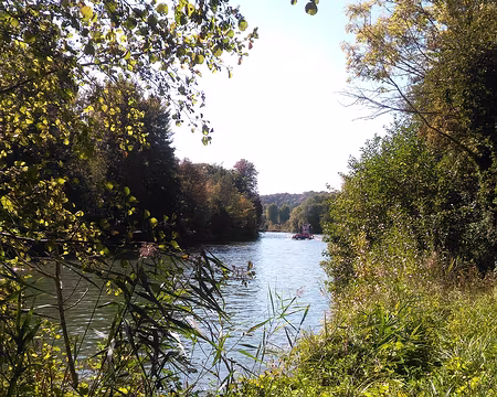 22 Île de Champagne