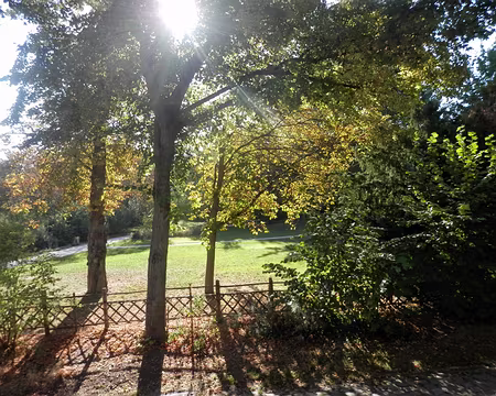 11 Parc de Île St-Germain