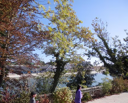 16 Face à l'île Seguin