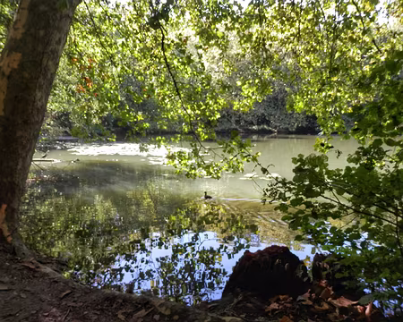 23 Étang de Trivaux