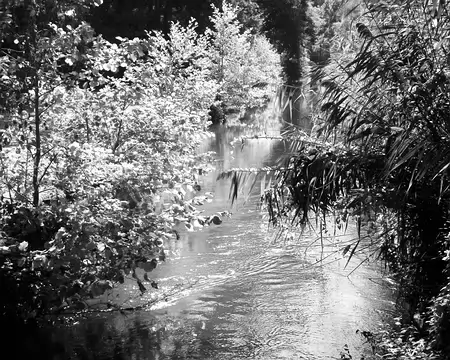 P9020236-01 Penchés