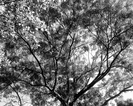 P_20180902_111416-EFFECTS-01 Dressé