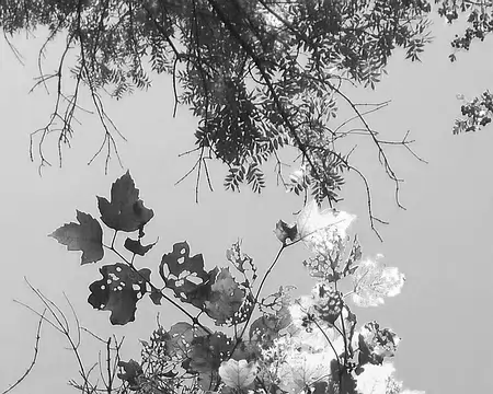 P_20180902_141903-01 Transpercées