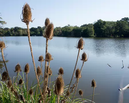 20180902-10h59m34s-DSC08794-V3