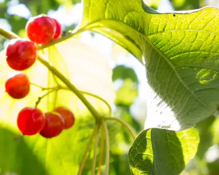 20180902-12h04m50s-DSC08835-V3