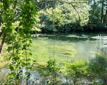 20180902-15h08m12s-DSC08844-V3