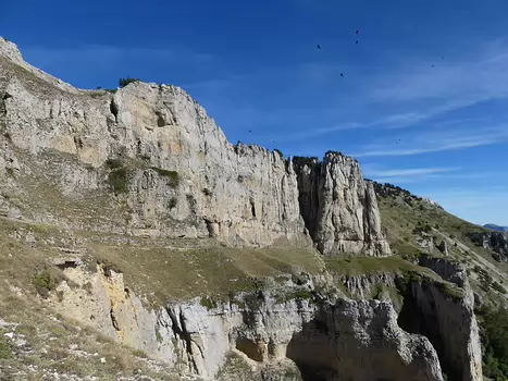 Christian Christian D, détail sortie