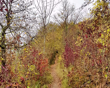 20181028-12h10m25s-20181028_121025-V3