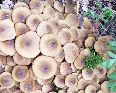 20181028-12h23m26s-20181028_122326-V3