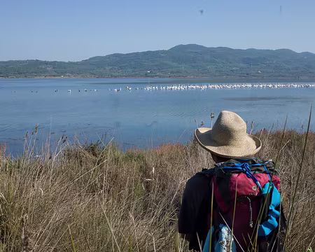 2018_10_20-11_58_05 Flamants sur le lac Korrision