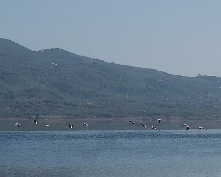 2018_10_20-11_59_39 Envol