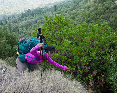 2018_10_21-11_28_54 Arbouses