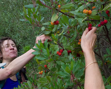 2018_10_22-10_56_59 Orgie d'arbouses