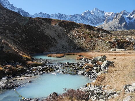 Pascale Pascale L, détail sortie