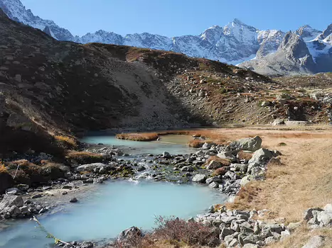 Pascale Pascale L, détail sortie