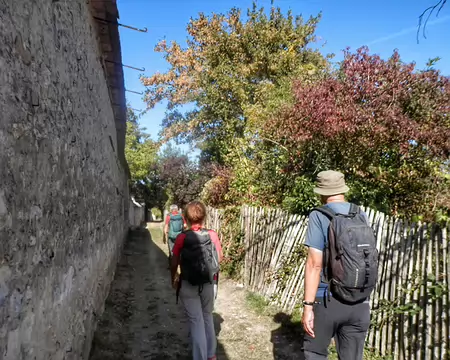 17 Où l'on cultivait le réputé chasselas de Thomery sur des murs bien exposés.