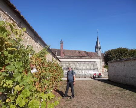 20 Jardins Salomon. 3000 variétés de vignes y étaient cultivées.