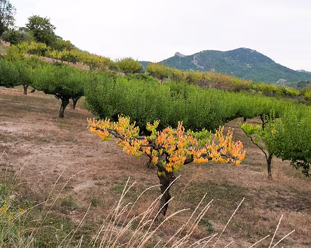 20181006-09h19m48s-P1110184-V3