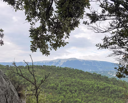 20181006-09h58m50s-P1110193-V3