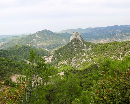 20181006-10h21m12s-P1110200-V3